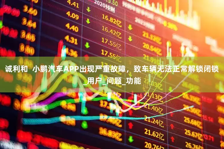 诚利和  小鹏汽车APP出现严重故障，致车辆无法正常解锁闭锁_用户_问题_功能