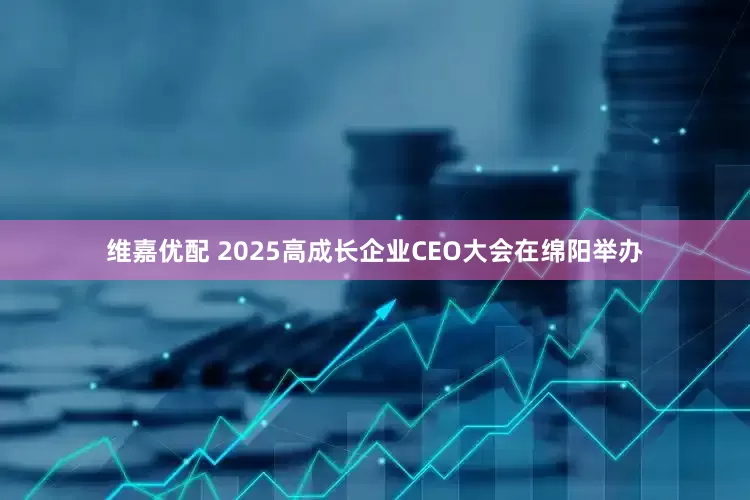 维嘉优配 2025高成长企业CEO大会在绵阳举办