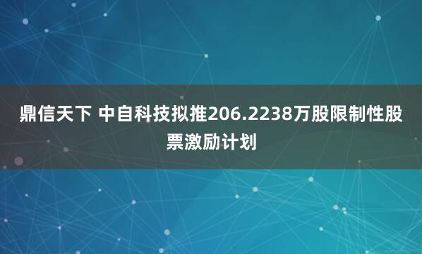 鼎信天下 中自科技拟推206.2238万股限制性股票激励计划