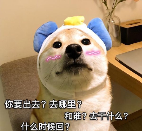 贝贝查 8个特征，说明你家狗很孤独，好需要你的陪伴